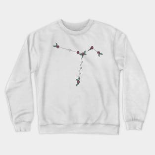 Columba (Dove) Constellation Roses and Hearts Doodle Crewneck Sweatshirt